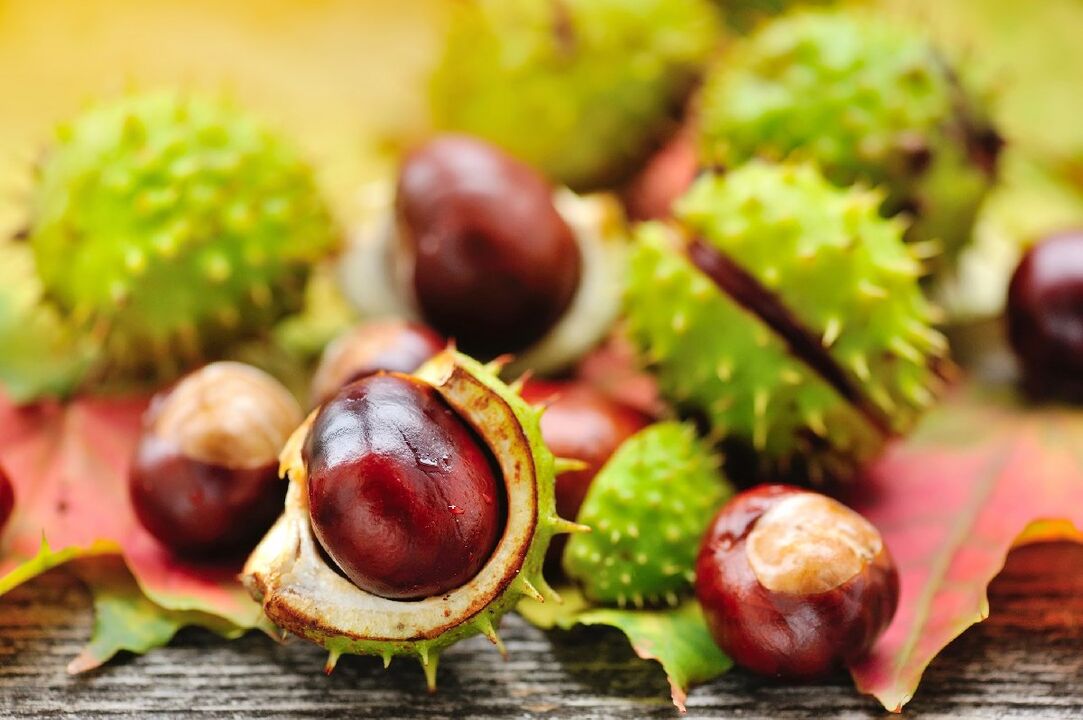 Horse chestnut cures chronic prostatitis
